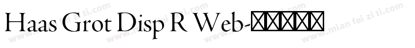 Haas Grot Disp R Web字体转换